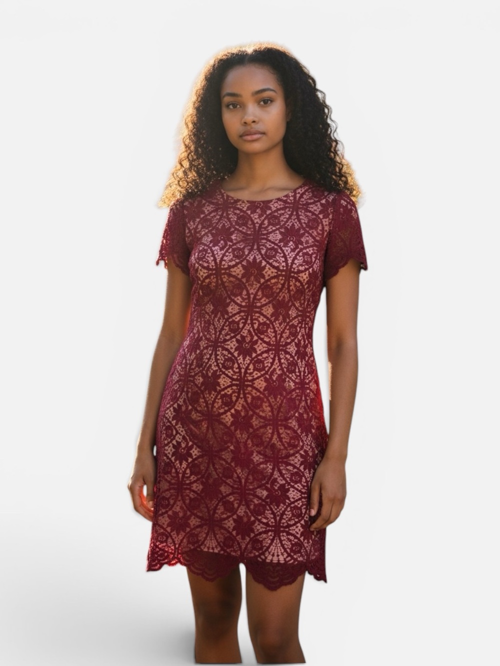 Cynthia Steffe Womens Burgundy Lace Overlay Shortsleeve Shift Dress Size 8